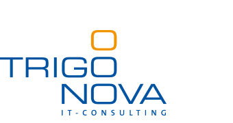 Trigonova IT-Consulting